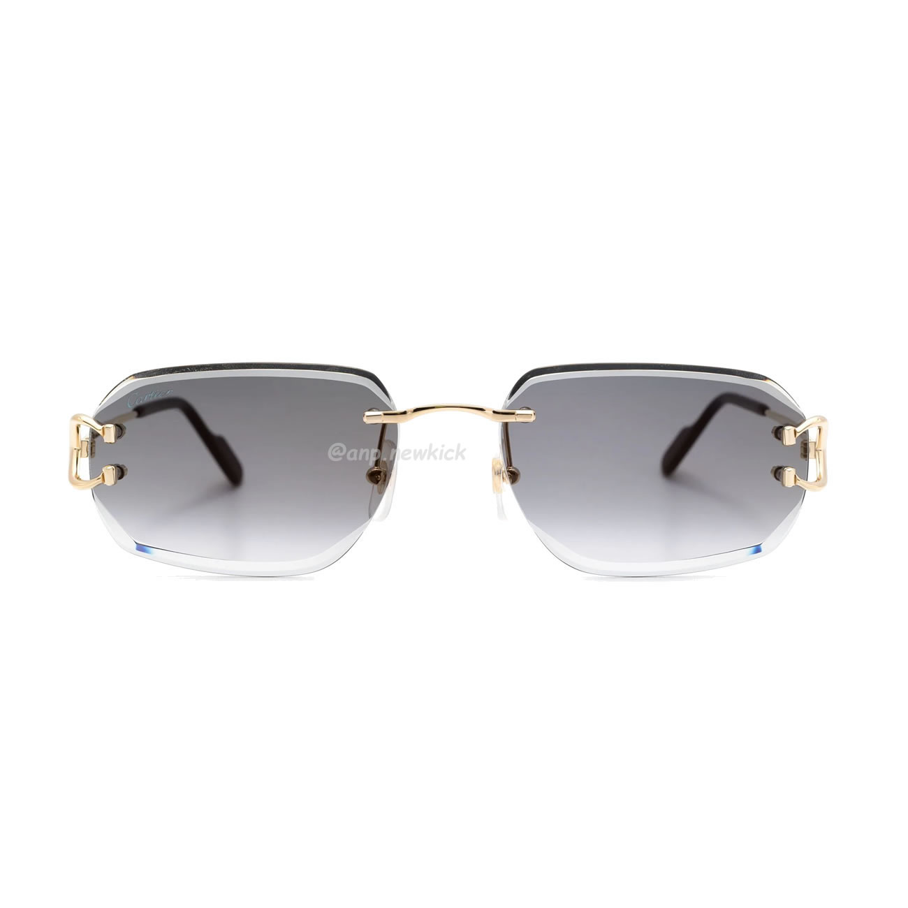 Cartier Eyewear Rimless Rectangle Frame Sunglasses (6) - newkick.app